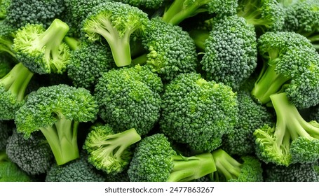 Pile Lots of broccoli. Broccoli Background Concept. Vegetables over broccoli. from the top view