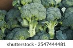 Pile Lots of natural broccoli. Broccoli Background Concept. Vegetables over broccoli. from the top view.