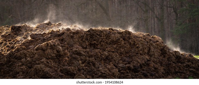 Pile of manure on an agricultural field for growing bio products