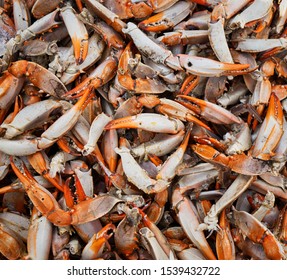 A pile of Maryland blue crab claws awaiting to be picked for their tasty meat.