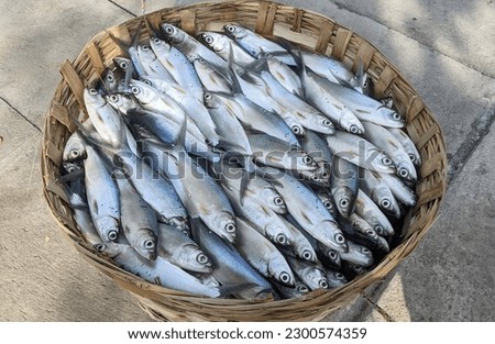 pile of milkfish on top of the fish basket