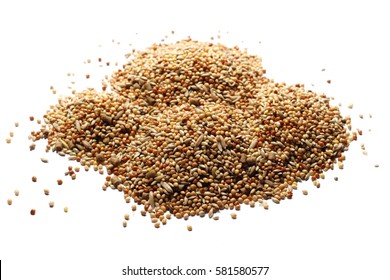 Pile Mixed Bird Seed Isolated On White Background