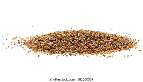 Pile Mixed Bird Seed Isolated On White Background