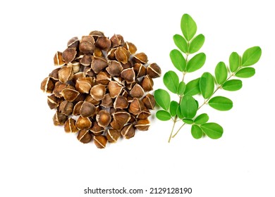 Pile Of Moringa Seed With Moringa Leaf Isolated On White Background. The Dried Seeds In The Pod Are Ready For Propagate. Natural Herbs Can Be Extracted Into Oil For Healthcare.