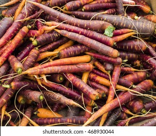 A Pile Of Multi-colored Heirloom Carrots.