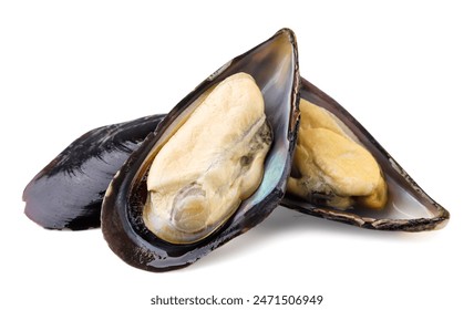 A pile of mussels with shell close-up on a white background. Isolated