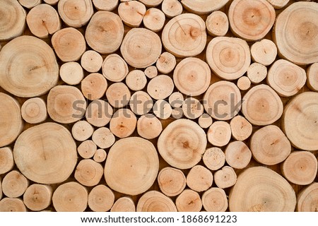 pile of naturial log round teak wood tree stump texture background pattern use for interior wall decoration 