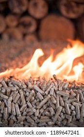 Pile of oak wooden pellets in fire - heathing