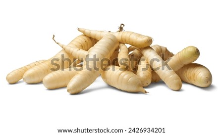 pile of organic arrowroot rhizomes, maranta arundinacea, tropical plant for starchy rhizomes harvested for various culinary purposes, used as gluten free alternative, isolated on white background