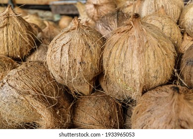 Pile Of Peeled Coconut Fruit