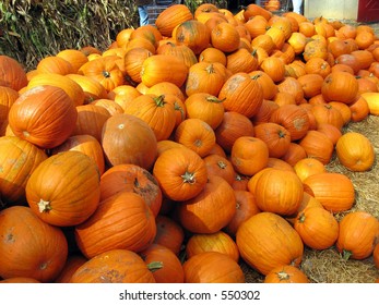 Pile of Pumpkins