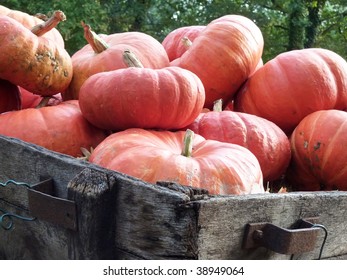 Pile of pumpkins for sale on old wooden cart