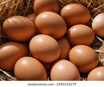 Pile of raw brown chicken eggs in straw  - Powered by Shutterstock