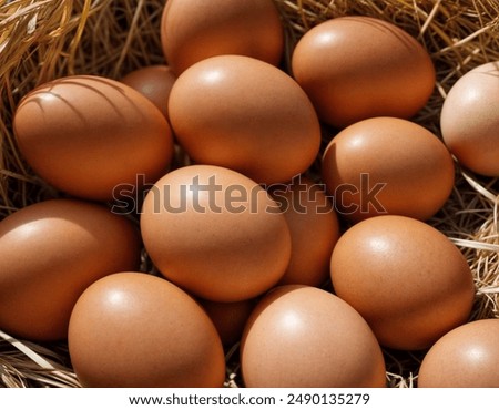 Similar – Image, Stock Photo Raw brown chicken eggs in a paper cardboard container on a black background, top view