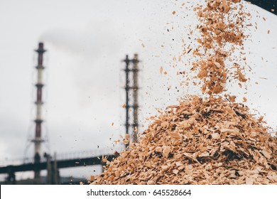 Pile Of Raw Material At Paper Mill Factory