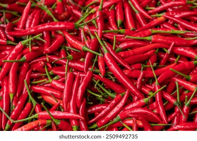 Pile of red spicy chili peppers at fresh market in Thailand. - Powered by Shutterstock