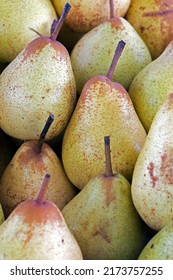 Pile Of Ripe Pears In Outdoor Market Stall. Sao Paulo City, Brazil