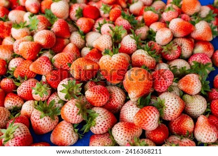 Pile ripe strawberry on market stall in the market.