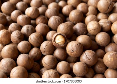 a pile of roasted macadamia nut