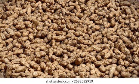 Pile of Roasted Peanuts in Shells Ready to be Eaten, Abundance of Earthnuts in Brown Shells Scattered Together, Unprocessed Snack