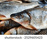 pile of rohu and grass carp fish with ice in plastic krait for export HD