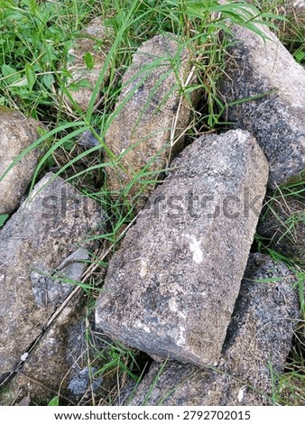 A pile of rough, weathered rectangular stone blocks scattered on the ground amidst green grass and weeds