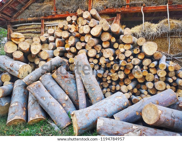 Pile Round Logs Heating Front Barn Stock Photo Edit Now 1194784957