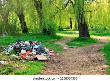 pile of rubbish in the forest.