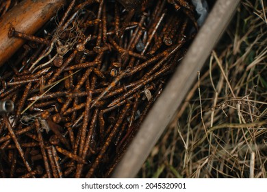 A pile of rusty nails, close up.