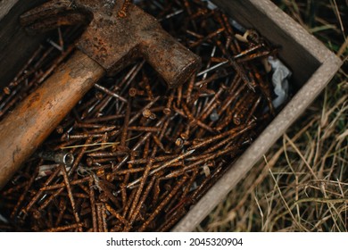 A pile of rusty nails, close up.
