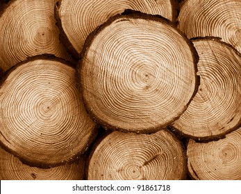 pile of sawed pine wood, duo-tone image