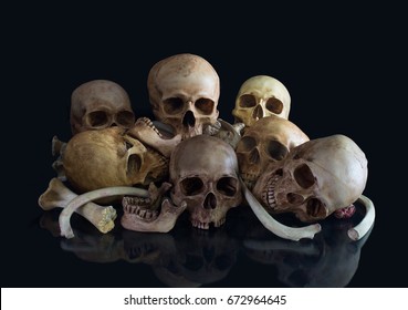 Pile of skulls and bone on dark background / Still life style