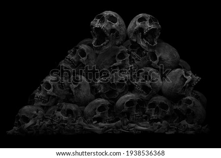 Pile of skulls and bone on dark background, Still life style