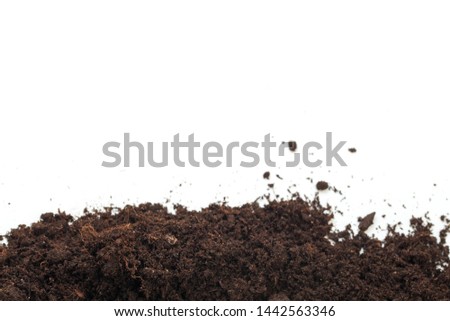 pile of soil isolated on white background - Image 