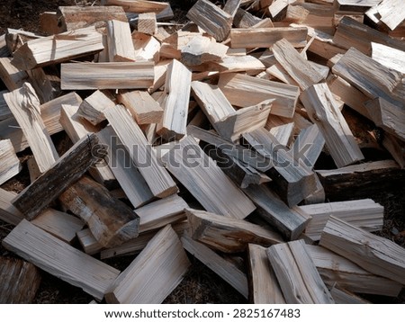 Pile of Split Firewood Ready for Storage or Burning