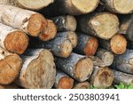 A pile of stacked firewood, prepared for heating the house, Firewood harvested for heating in winter, Chopped firewood on a stack, Firewood stacked and prepared for winter Pile of wood logs.