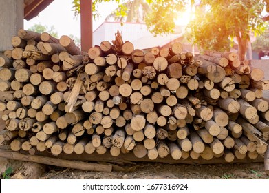 A pile of stacked firewood, prepared for heating the house. Firewood harvested for heating in winter. Chopped firewood on a stack. Firewood stacked and prepared for winter Pile of wood logs - Powered by Shutterstock