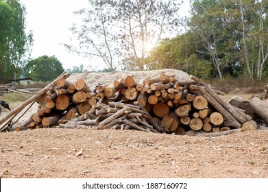 A pile of stacked firewood, prepared for heating the house. Firewood harvested for heating in winter. Chopped firewood on a stack. Firewood stacked and prepared for winter Pile of wood logs