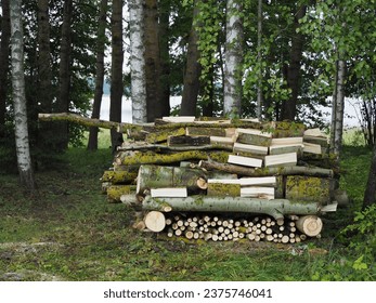 A pile of stacked firewood, prepared for heating the house. A wooden tank made of wood. Funny fighting machine