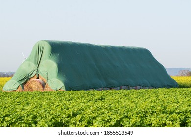 A pile of straw bales protected with a green tarpaulin. - Shutterstock ID 1855513549