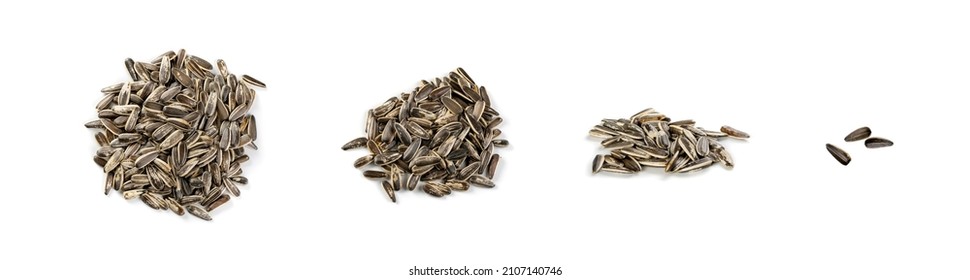 Pile of striped sunflower seeds with shell isolated. Unpeeled sun glower grains on white background, dry roasted edible oil seeds heap collection - Shutterstock ID 2107140746