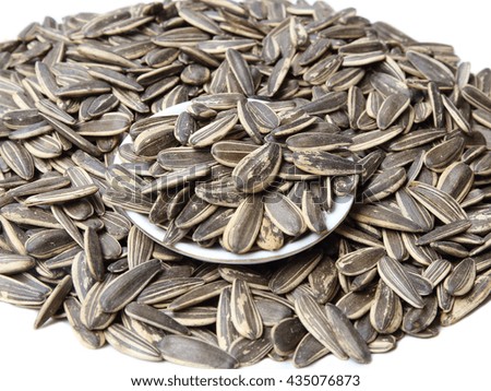 pile sun flower seeds isolated on white background