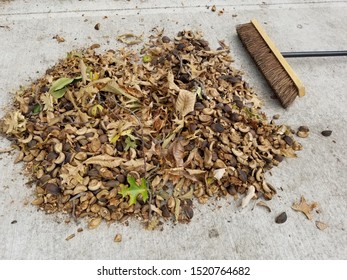 Pile Of Swept Up Yard Debris With Push Broom On Concrete Driveway