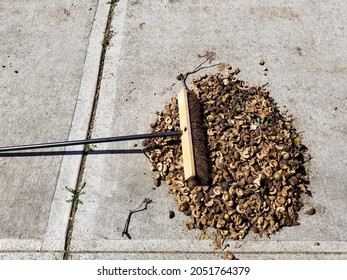 Pile Of Swept Up Yard Debris With Push Broom On Top