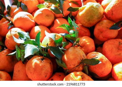 Pile Of Tangerines In Backlight, At Outdoor Market Stall. Brazil