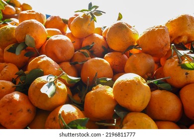 Pile Of Tangerines In Backlight, At Outdoor Market Stall. Brazil