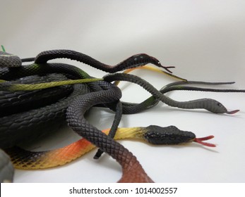 Pile Of Toy Snakes On A Plain Background