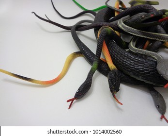 Pile Of Toy Snakes On A Plain Background