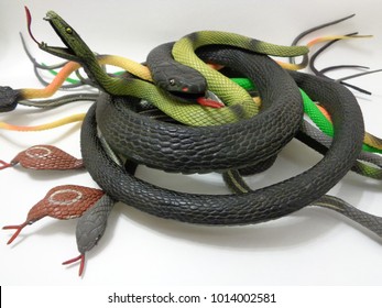 Pile Of Toy Snakes On A Plain Background