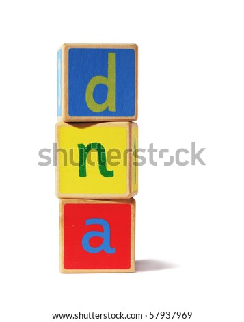 a pile of traditional wooden blocks on a white background, with the letters dna.